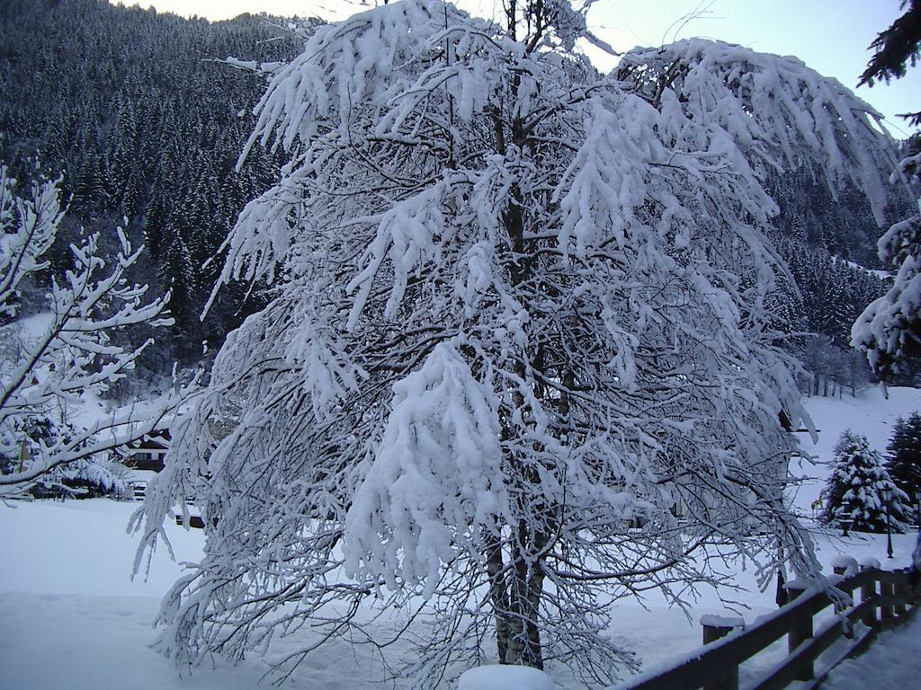 Gaestehaus Sahler กาชูร์น ภายนอก รูปภาพ